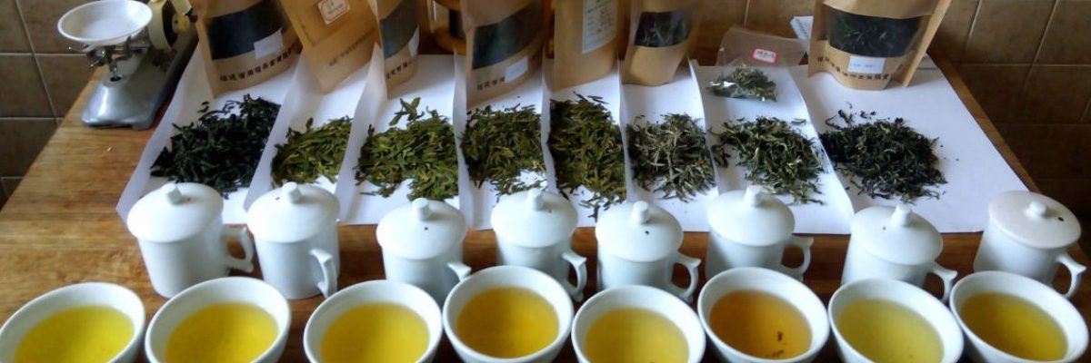 degustacia2017_zeleniy-1138x547